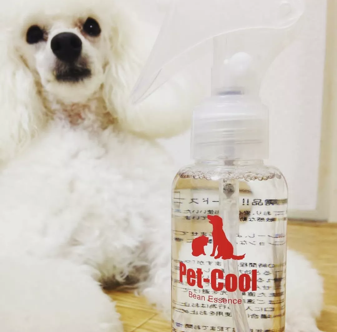 product cover