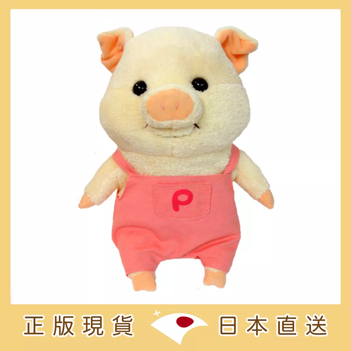 product cover