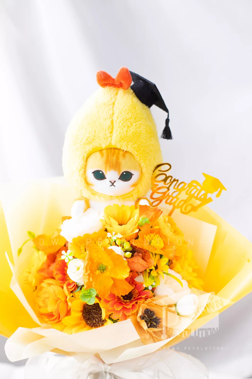product cover