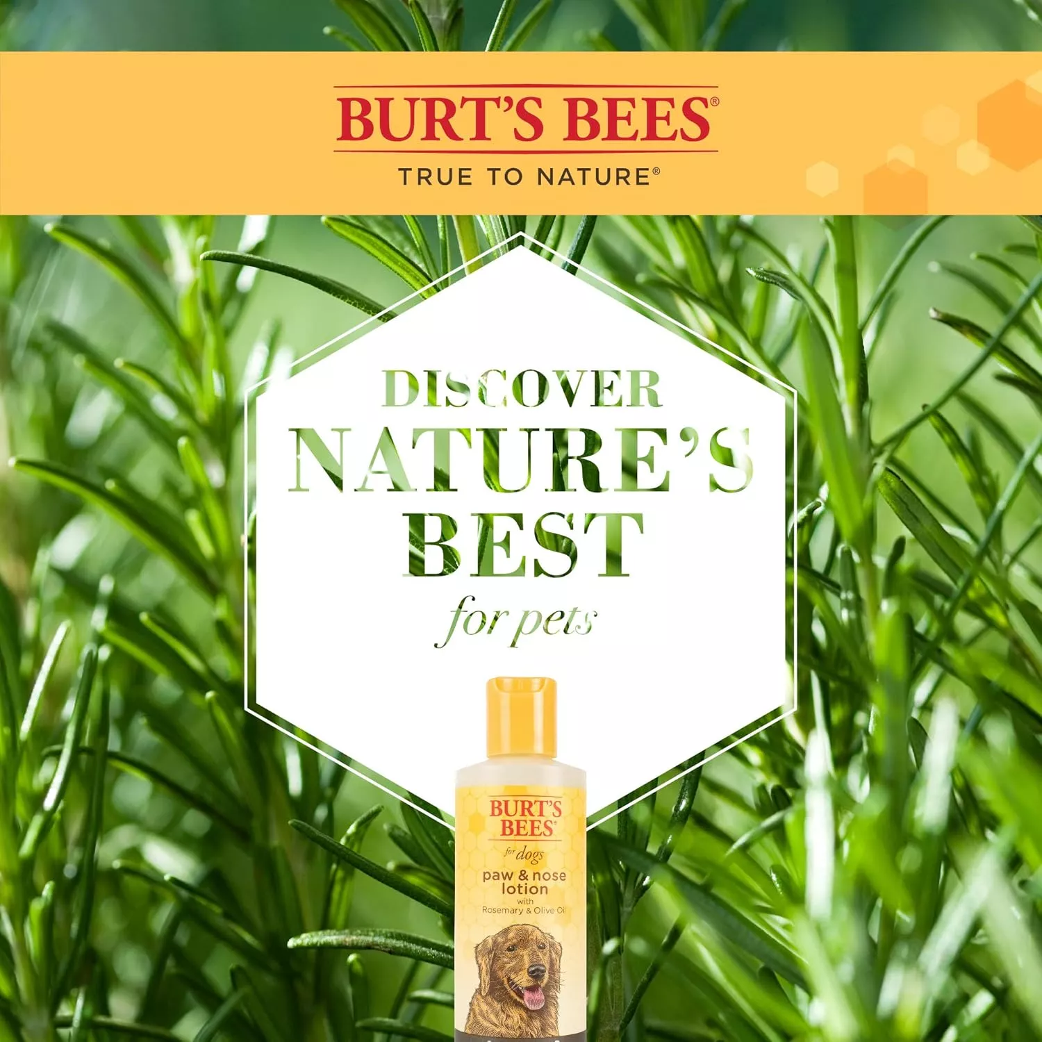 product cover