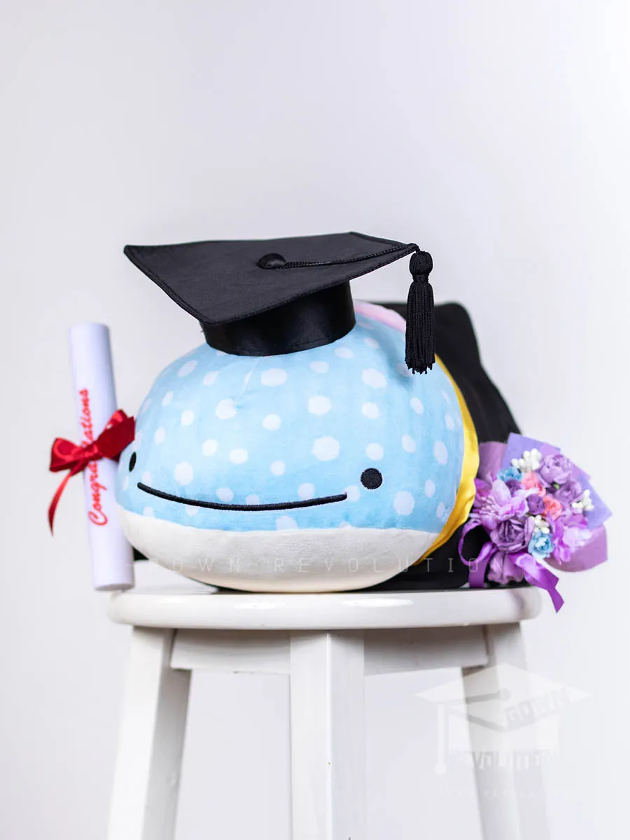 product cover