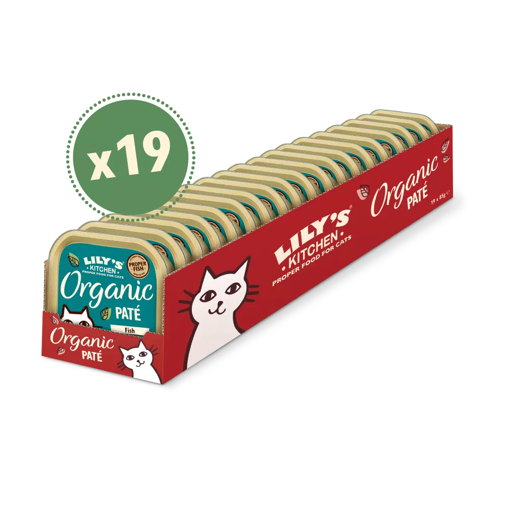 product cover