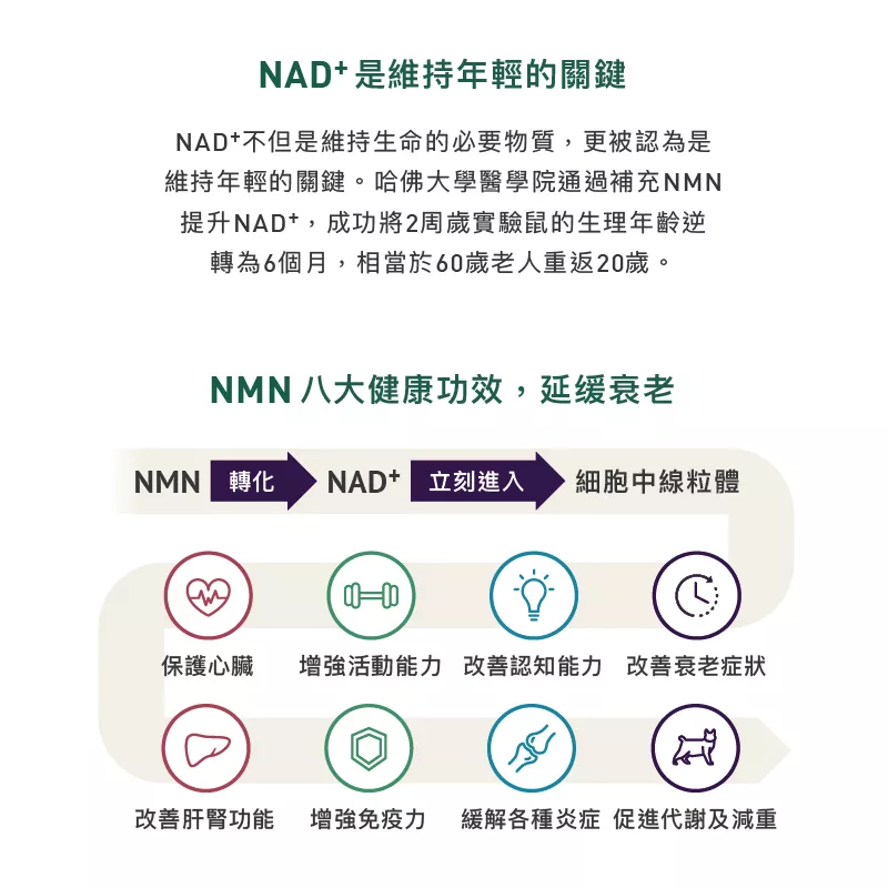 product cover