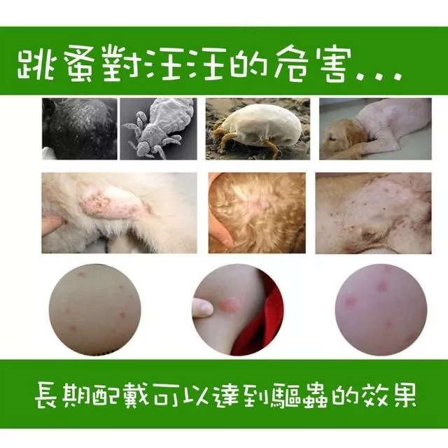 product cover