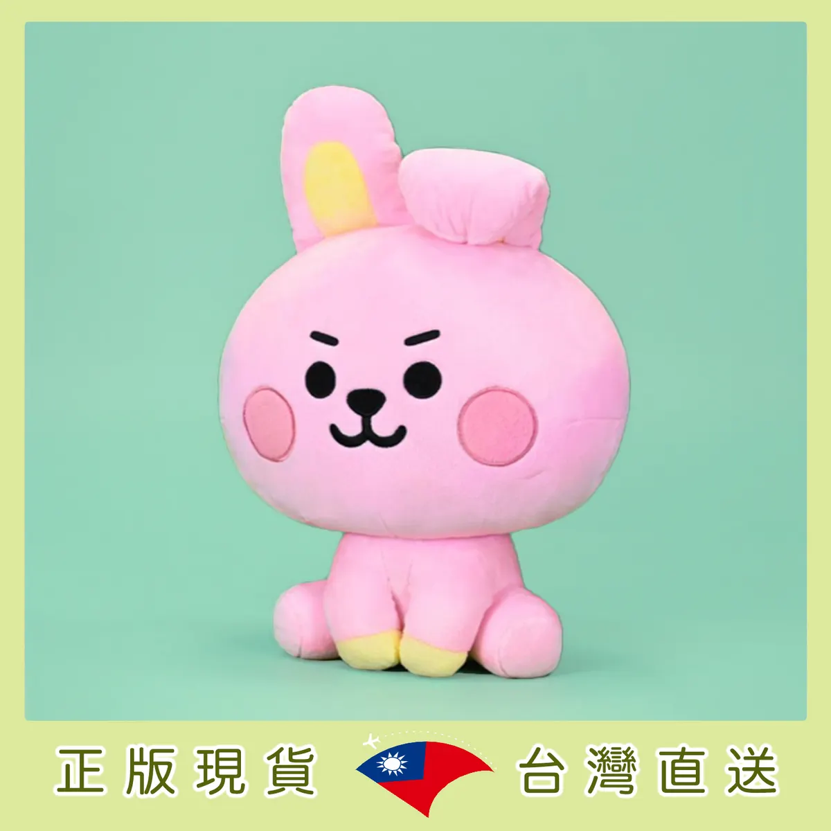 product cover