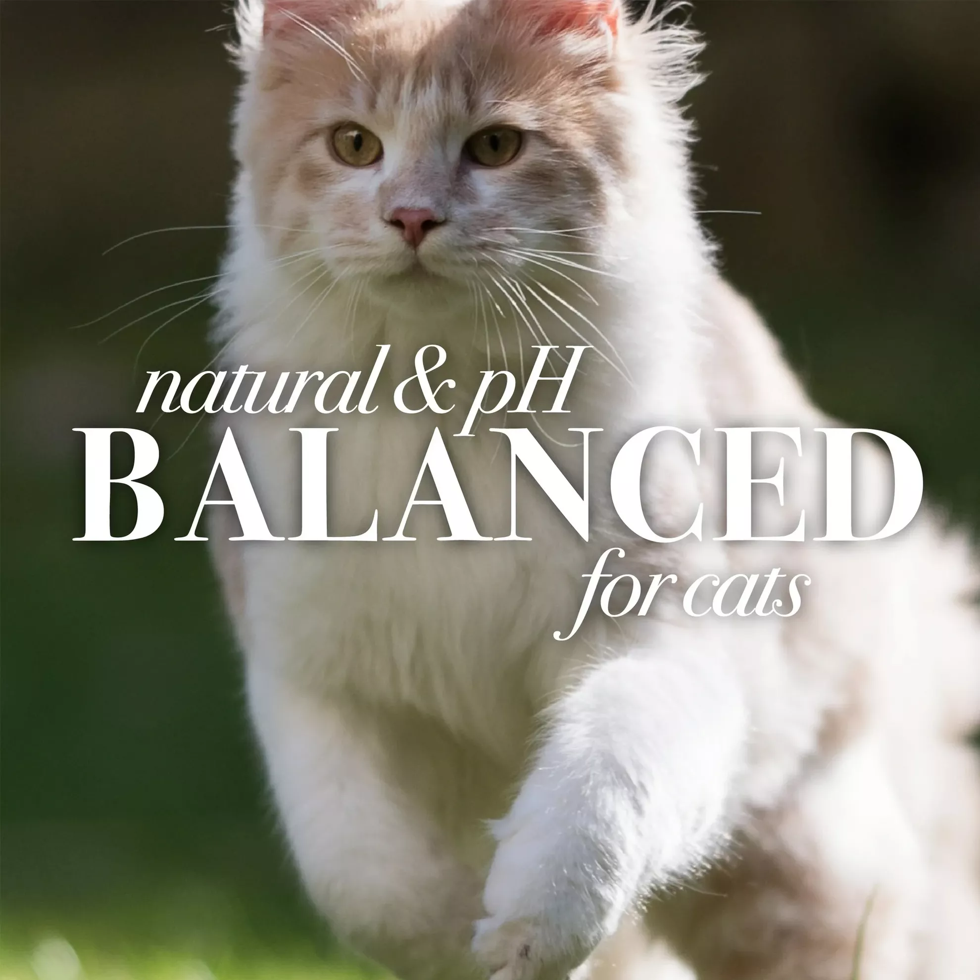 product cover