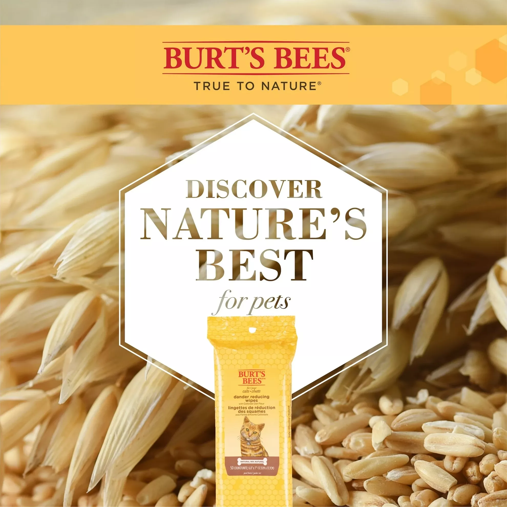 product cover